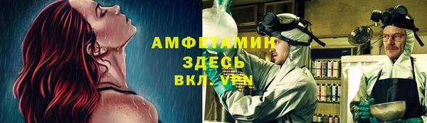 стаф Беломорск