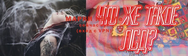 стаф Беломорск