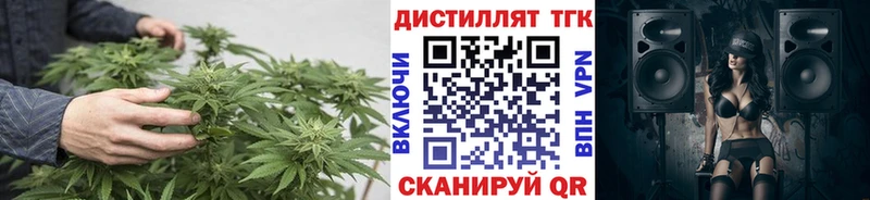 ТГК Wax гидра ссылки Выборг