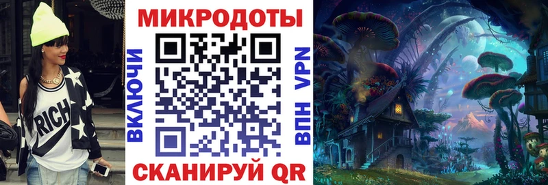 kraken зеркало  Выборг  Галлюциногенные грибы Psilocybine cubensis 